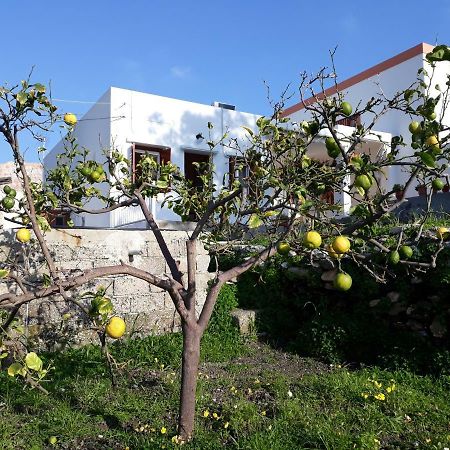 Maria Guesthouse Kini Eksteriør billede